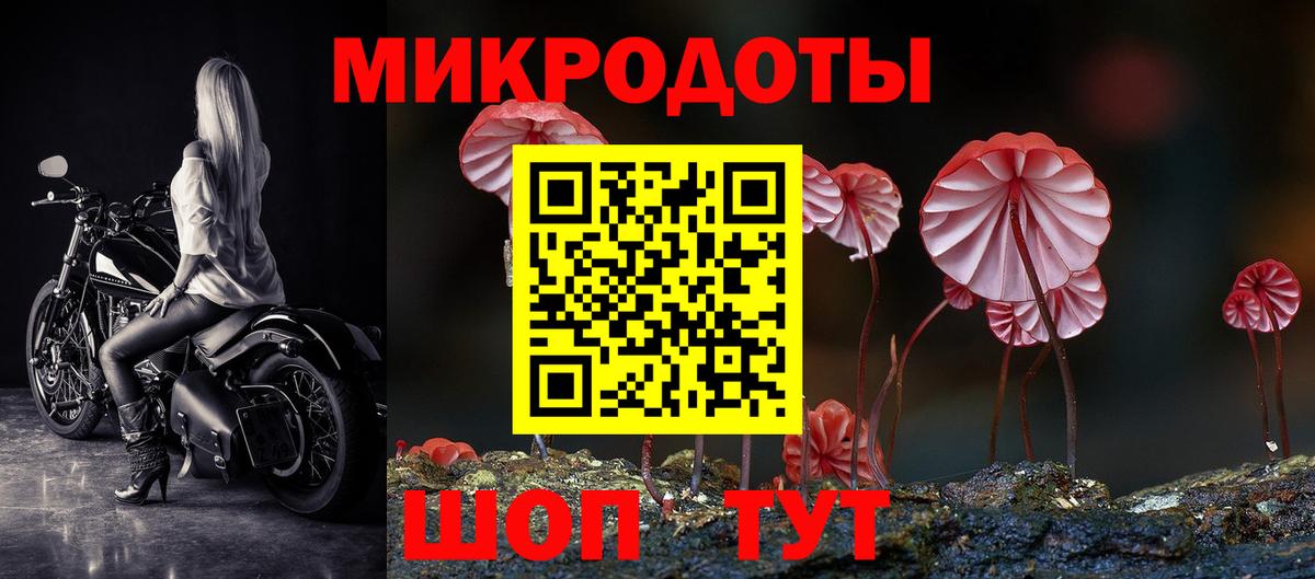 Галлюциногенные грибы мухоморы Елизово