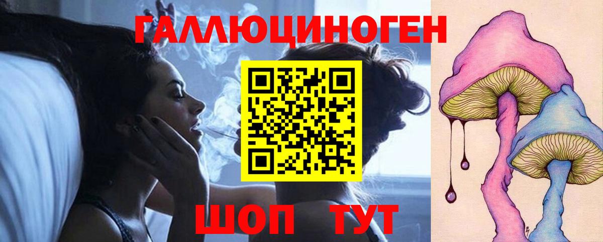 Псилоцибиновые грибы Cubensis  Вход с VPN  Елизово 